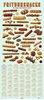 Afbeelding van Poster: Frituursnacks in het wild