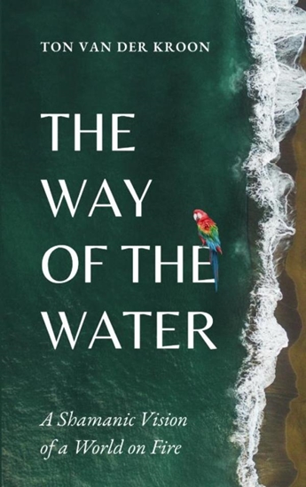 Afbeelding van The Way of the Water
