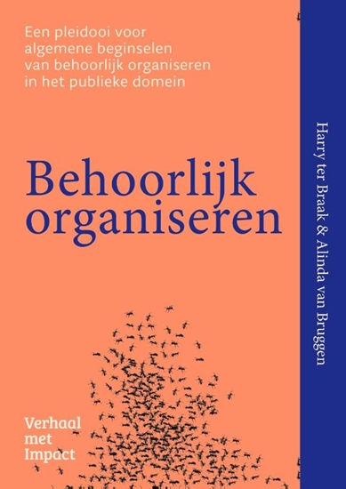 Afbeelding van Behoorlijk organiseren
