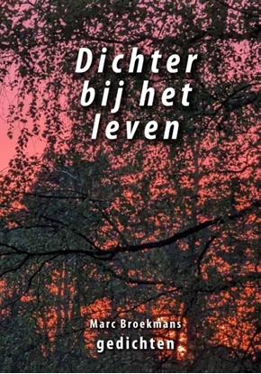 Afbeeldingen van Dichter bij het leven