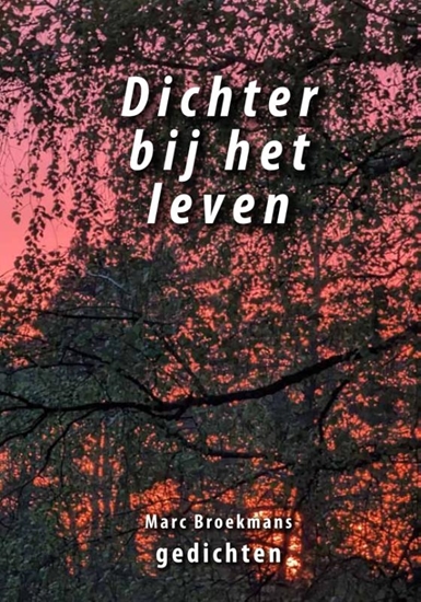 Afbeelding van Dichter bij het leven