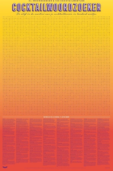 Afbeelding van Stratier XL Spelposter - Cocktailwoordzoeker - 100 weetjes