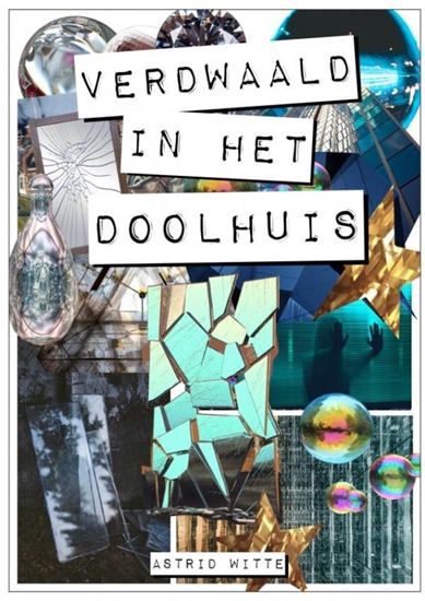Afbeelding van Verdwaald in het doolhuis