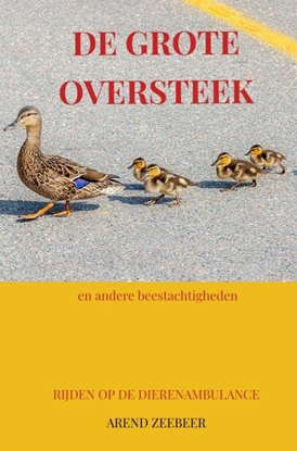 Afbeeldingen van De Grote Oversteek
