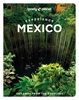 Afbeelding van Lonely Planet Experience Lonely Planet Experience Mexico