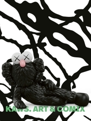 Afbeeldingen van KAWS