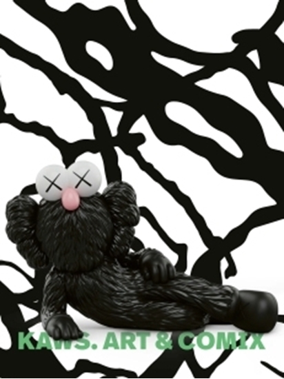 Afbeelding van KAWS