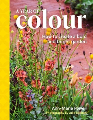 Afbeeldingen van A Year of Colour