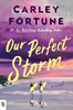 Afbeelding van Our Perfect Storm