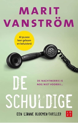 Afbeeldingen van Lianne Bloemen De schuldige