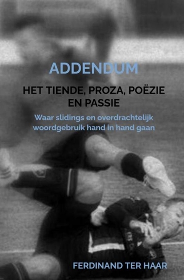 Afbeelding van Het Tiende, proza, poëzie en passie - Addendum