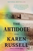 Afbeelding van The Antidote