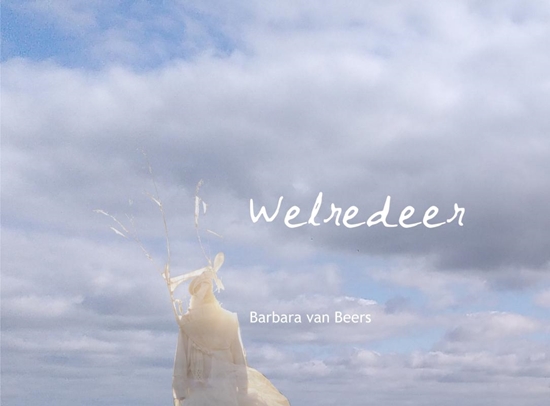 Afbeelding van Welredeer