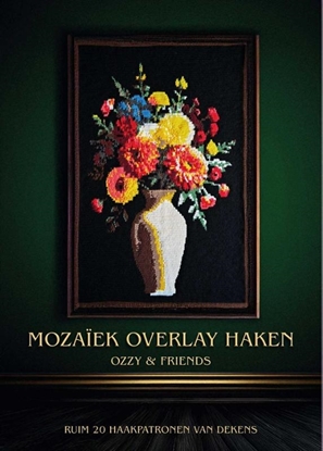 Afbeeldingen van Mozaiek overlay haken