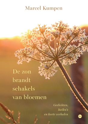 Afbeeldingen van De zon brandt schakels van bloemen