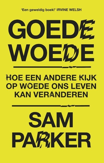 Afbeelding van Goede woede