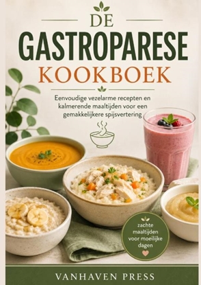 Afbeeldingen van DE GASTROPARESE KOOKBOEK