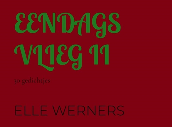 Afbeelding van EENDAGSVLIEG II