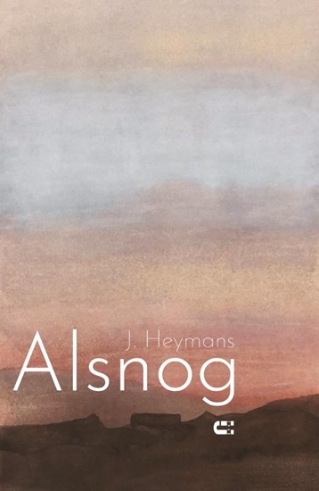 Afbeelding van Alsnog
