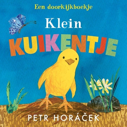 Afbeeldingen van Klein kuikentje