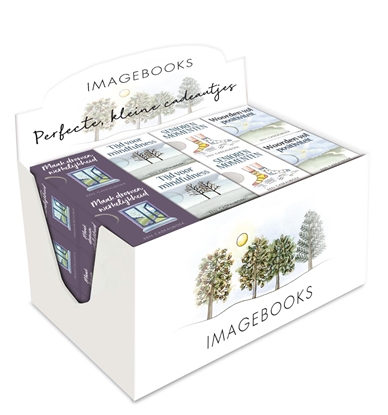 Afbeeldingen van Display Perfecte boek cadeautjes 4 x 6 ex.