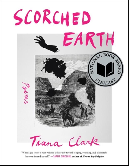 Afbeelding van Scorched Earth: Poems