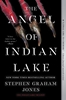 Afbeelding van The Indian Lake Trilogy Jones, S: Angel of Indian Lake