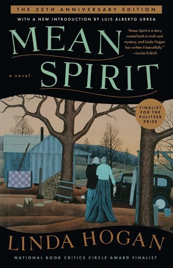 Afbeelding van SCRIBNER BOOKS CO Mean Spirit