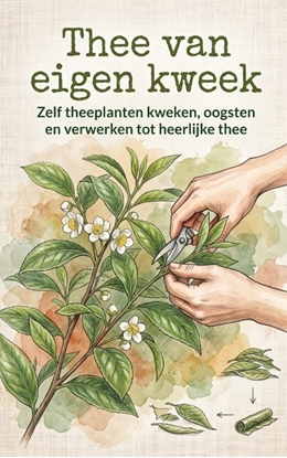 Afbeeldingen van Thee van eigen kweek