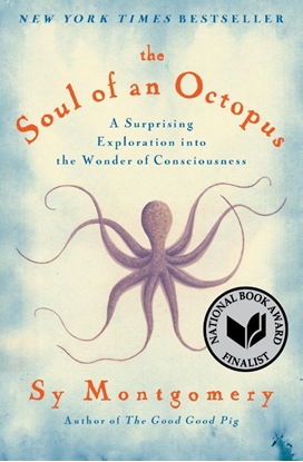 Afbeeldingen van Soul of an Octopus