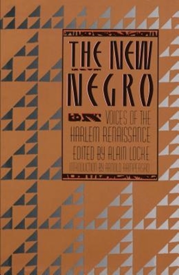 Afbeelding van The New Negro