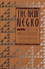 Afbeelding van The New Negro