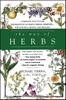 Afbeelding van WAY OF HERBS ORIGINAL/E