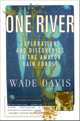 Afbeeldingen van Davis, W: One River