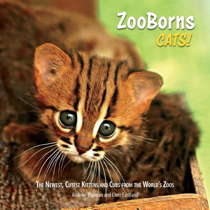 Afbeeldingen van Zooborns ZooBorns Cats!: The Newest, Cutest Kittens and Cubs from the World's Zoos