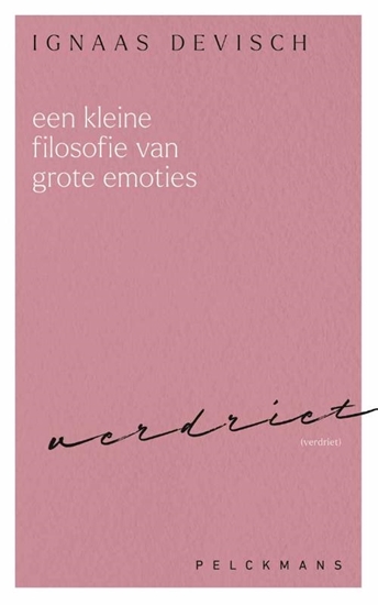 Afbeelding van Een kleine filosofie van grote emoties: Verdriet
