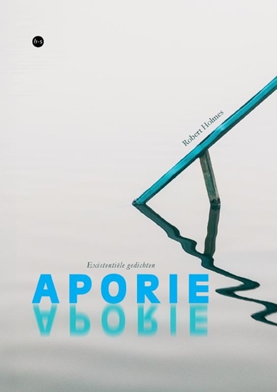 Afbeelding van Aporie