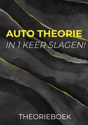 Afbeeldingen van Auto theorie: In 1 Keer Slagen