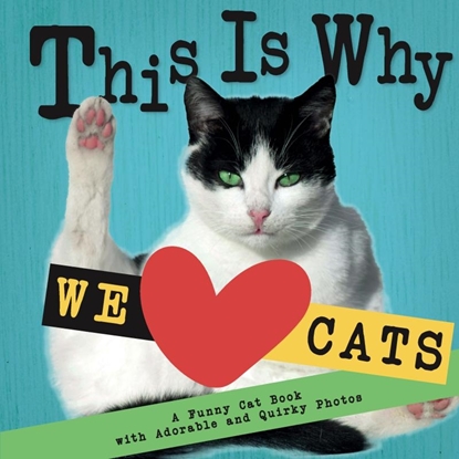 Afbeeldingen van This Is Why We Love Cats