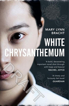 Afbeeldingen van White Chrysanthemum