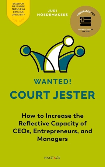 Afbeelding van Wanted! Court Jester