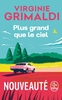 Afbeelding van Plus grand que le ciel