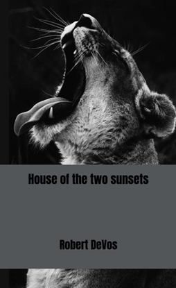 Afbeeldingen van House of the two sunsets