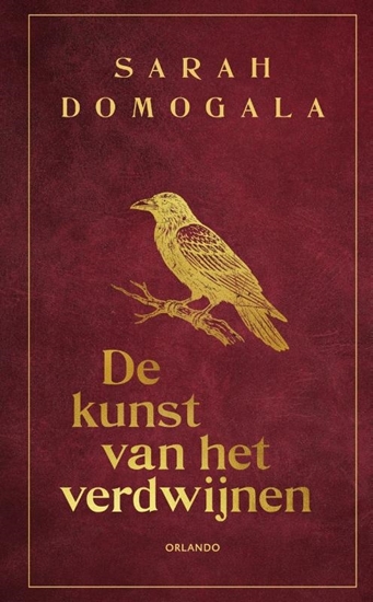 Afbeelding van De kunst van het verdwijnen