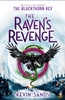 Afbeelding van The Blackthorn Key The Raven's Revenge