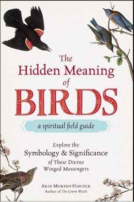 Afbeeldingen van Adams Media The Hidden Meaning of Birds--A Spiritual Field Guide