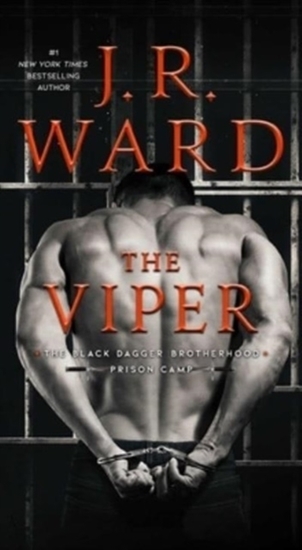 Afbeelding van Black Dagger Brotherhood: Prison Camp Viper
