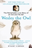 Afbeelding van O'Brien, S: Wesley the Owl