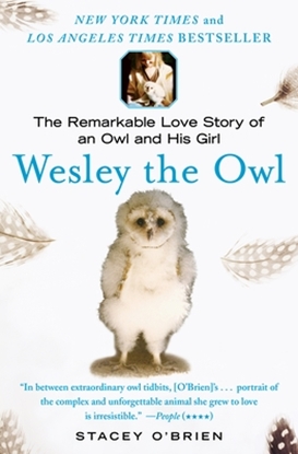 Afbeeldingen van O'Brien, S: Wesley the Owl
