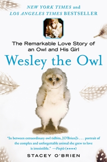 Afbeelding van O'Brien, S: Wesley the Owl